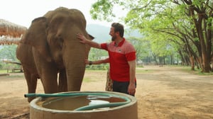 The Wizard of Paws, Season 4 Episode 11 image