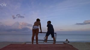 P.O.V., Season 32 Episode 1 image