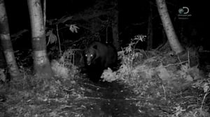 Alaskan Bush People, Season 4 Episode 8 image