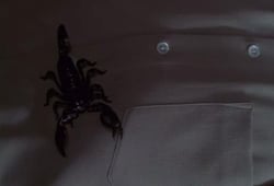 PSI Factor: Chronicles of the Paranormal, Season 3 Episode 10 image