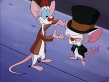 Pinky and the Brain, Season 3 Episode 19 image