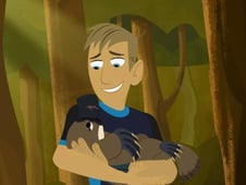 Wild Kratts, Season 1 Episode 6 image