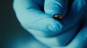 Spycraft, Season 1 Episode 4 image