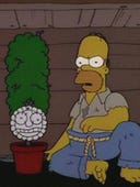The Simpsons, Season 5 Episode 22 image