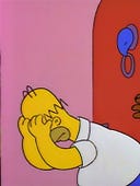 The Simpsons, Season 5 Episode 13 image