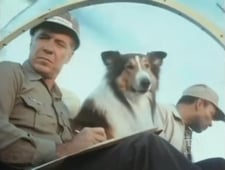Lassie, Season 15 Episode 3 image