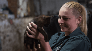 The Incredible Dr. Pol, Season 15 Episode 6 image