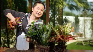 Naturally, Danny Seo, Season 1 Episode 25 image