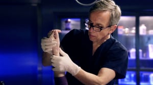 CSI: NY, Season 8 Episode 14 image