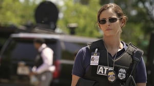 Tulsa King, Season 1 Episode 4 image