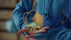 Gabby Duran & The Unsittables, Season 1 Episode 18 image