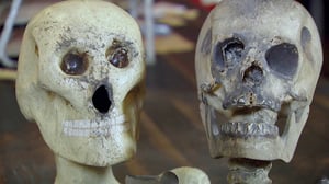 American Pickers: Best Of, Season 1 Episode 6 image