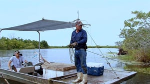 Swamp People, Season 2 Episode 4 image