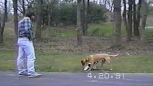 Funniest Pets & People, Season 1 Episode 12 image