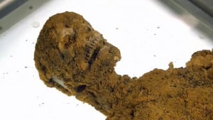 Bones, Season 6 Episode 13 image