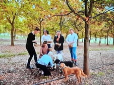 MasterChef Australia, Season 14 Episode 57 image