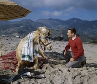 Mister Ed, Season 2 Episode 23 image