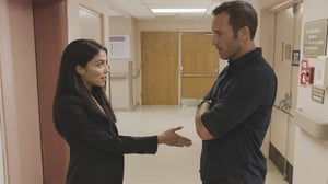 Hawaii Five-0, Season 9 Episode 6 image