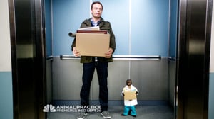 Animal Practice, Season 1 Episode 1 image