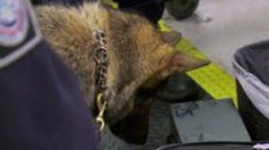 Airport 24/7: Miami, Season 2 Episode 13 image