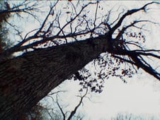 Ghost Hunters, Season 9 Episode 3 image