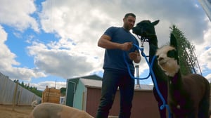 My Pack Life, Season 1 Episode 3 image