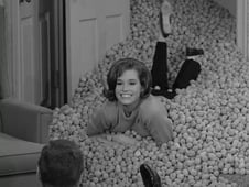 The Dick Van Dyke Show, Season 2 Episode 20 image