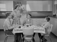 The Adventures of Ozzie and Harriet, Season 1 Episode 9 image