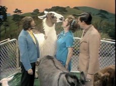 The Pet Set, Season 1 Episode 5 image