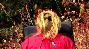 Alaskan Bush People, Season 9 Episode 3 image