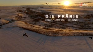 Terra Mater, Season 1 Episode 294 image