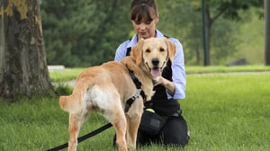 It's Me or the Dog, Season 4 Episode 3 image