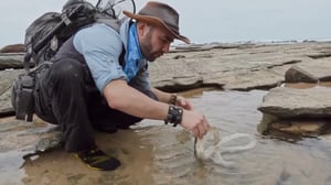 Coyote Peterson: Brave the Wild, Season 1 Episode 7 image