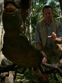 Prehistoric Park, Season 1 Episode 5 image