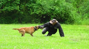 Brave Wilderness, Season 2 Episode 5 image