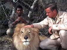 Daktari, Season 1 Episode 8 image