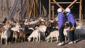 The Amazing Race Canada, Season 8 Episode 2 image