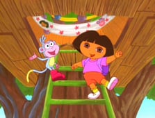 Dora the Explorer, Season 1 Episode 25 image