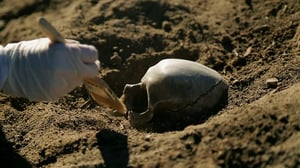 Devil in the Details, Season 1 Episode 6 image