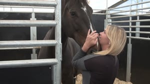 Jumping with Brittni, Season 1 Episode 4 image