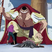One Piece, Season 14 Episode 16 image