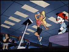 Animaniacs, Season 3 Episode 13 image