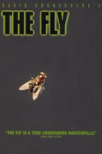 The Fly as Veronica Quaife