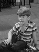 The Andy Griffith Show, Season 1 Episode 29 image