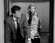 Honey West, Season 1 Episode 30 image