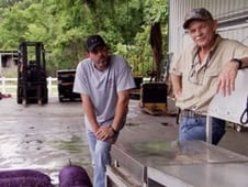 Swamp Pawn, Season 3 Episode 1 image