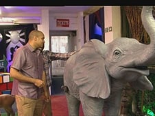 Don't Tell the Bride, Season 6 Episode 10 image