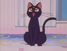 Sailor Moon, Season 1 Episode 17 image