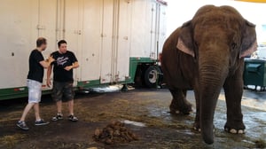 Impractical Jokers, Season 2 Episode 1 image