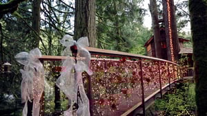 Treehouse Masters, Season 1 Episode 8 image